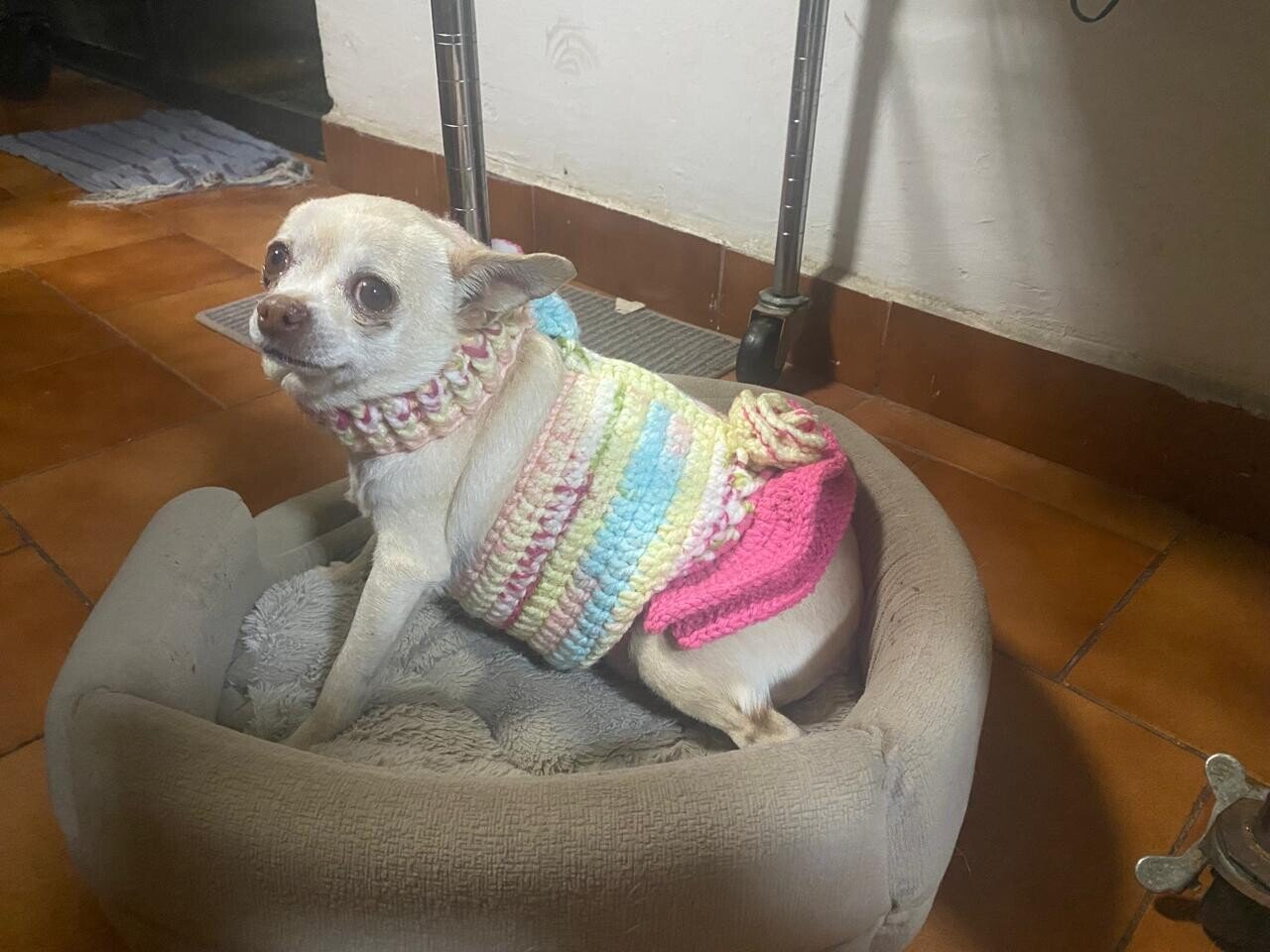 LUNITA (México)