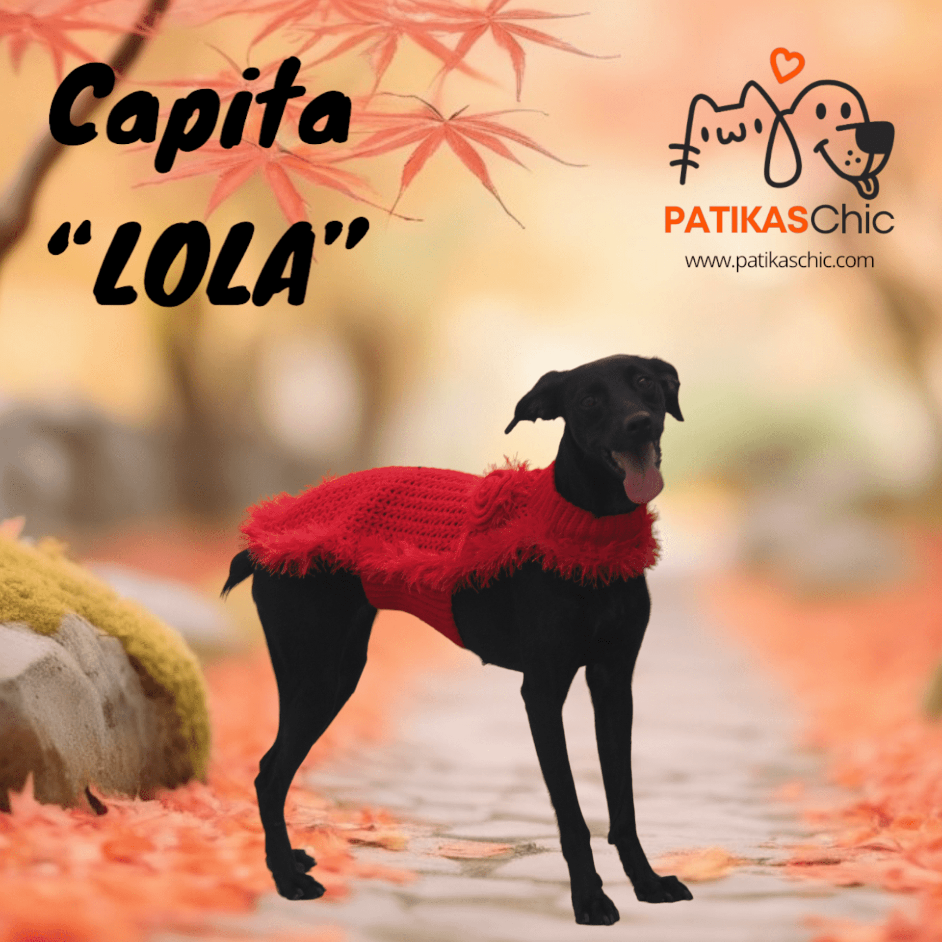 Abrigo  LOLA en Rojo - 7