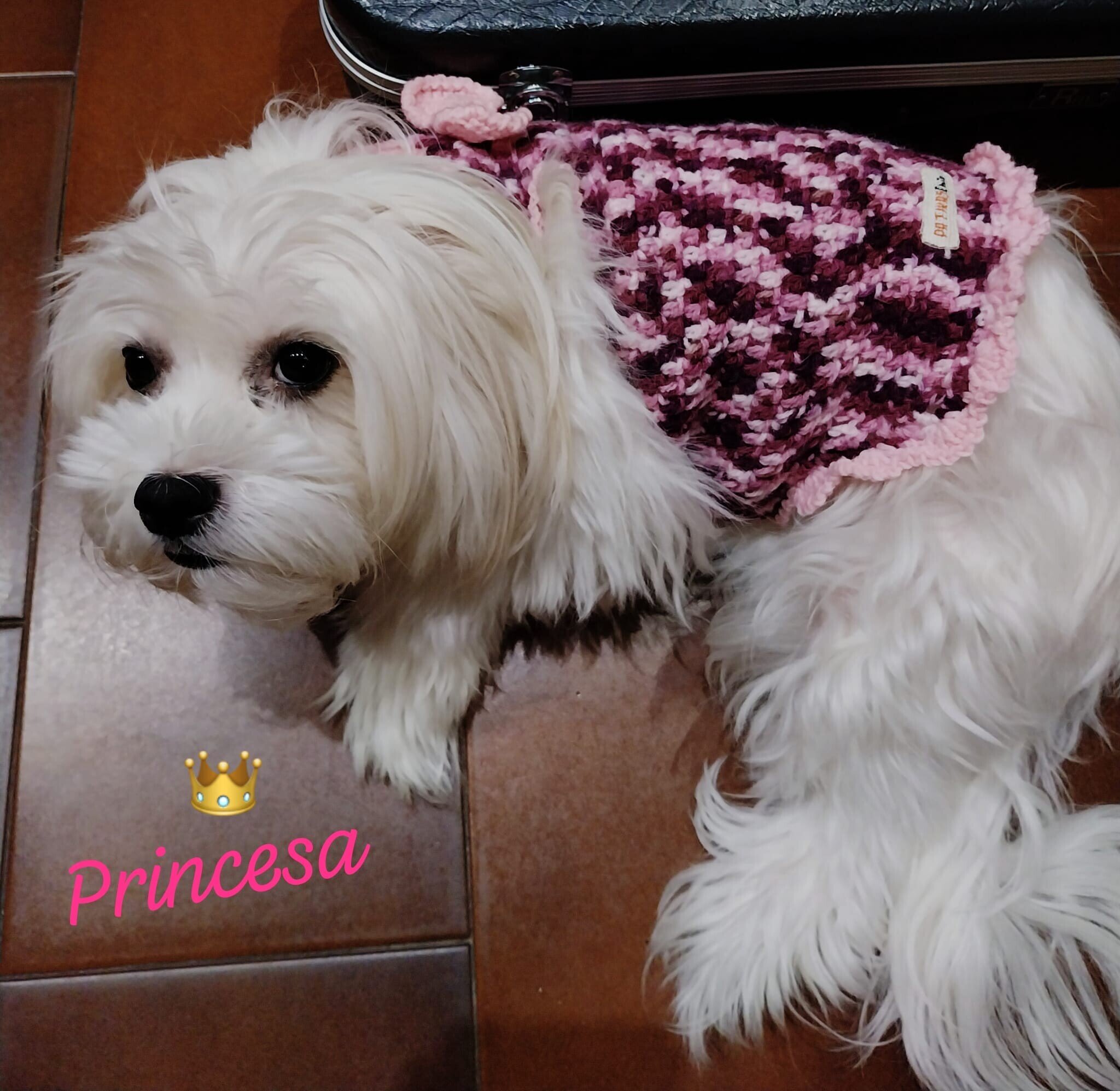 PRINCESA (Córdoba-España)