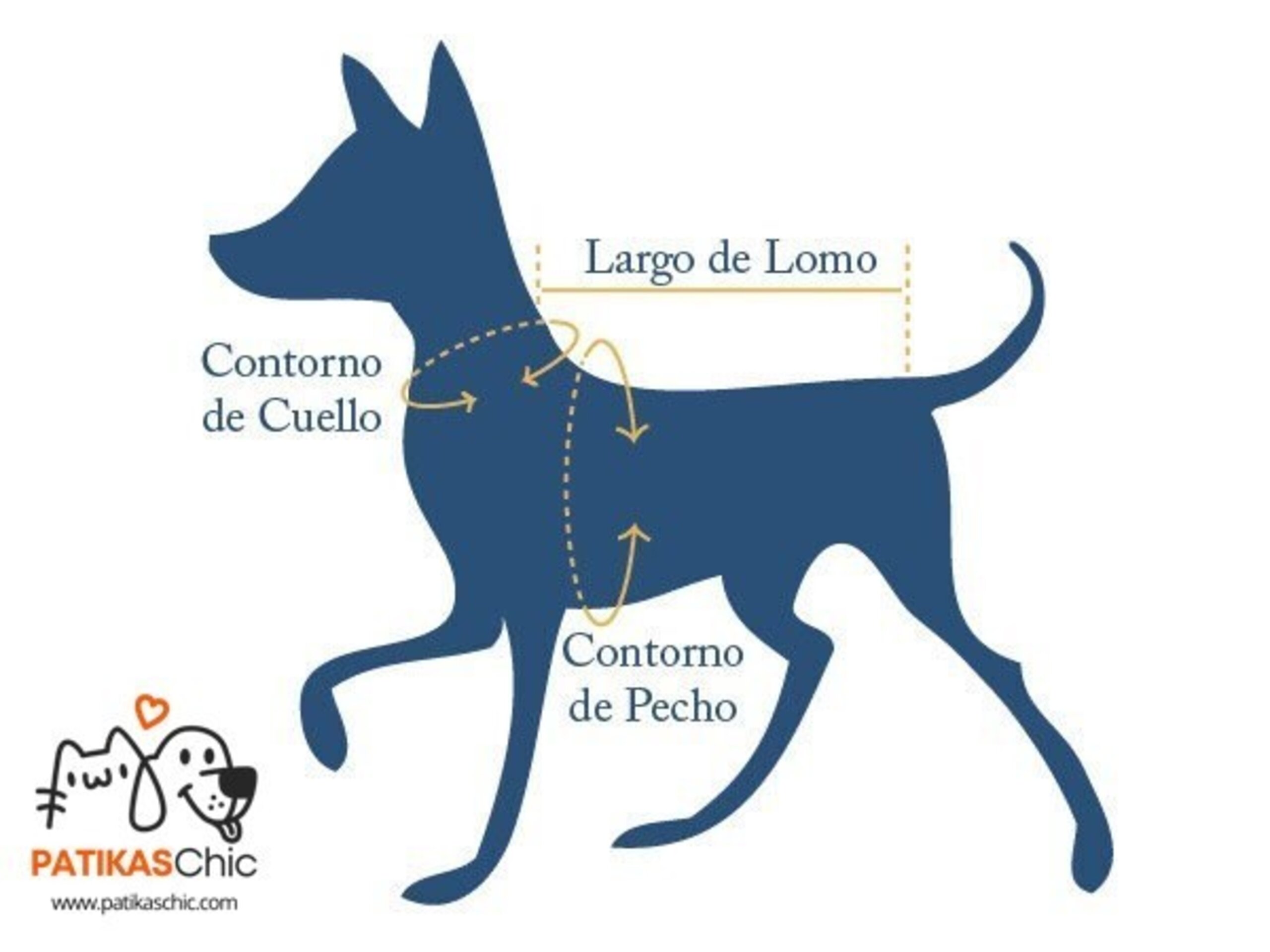 Jersey CHAPULIN - 6
