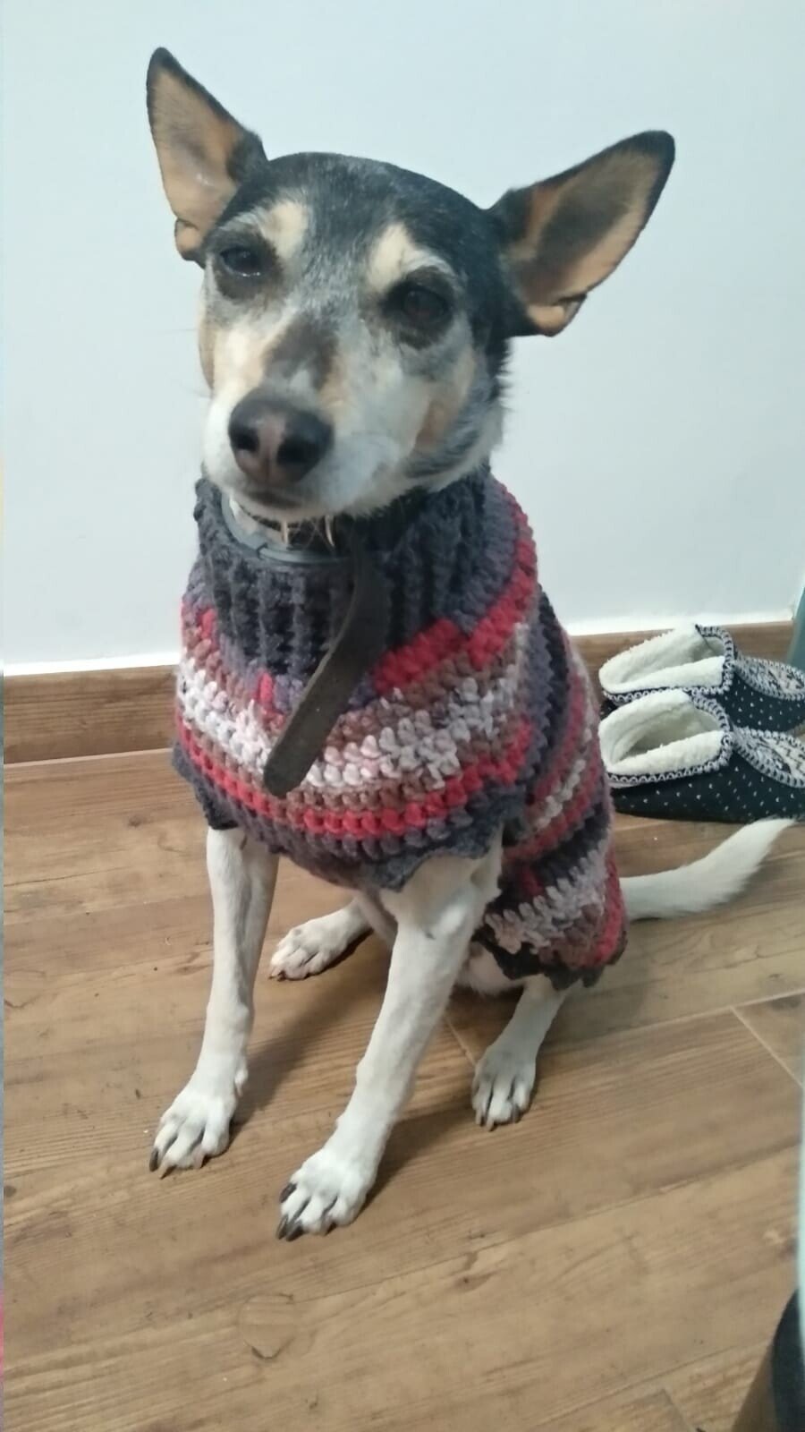 CHICA (Chipiona-Cádiz-España)